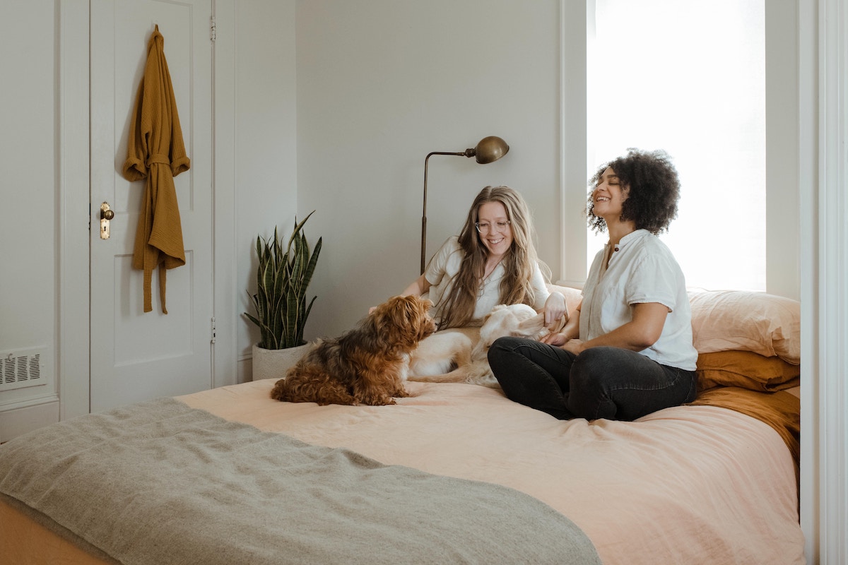 The PRIMEway, couple with dogs in home | Primesave Properties