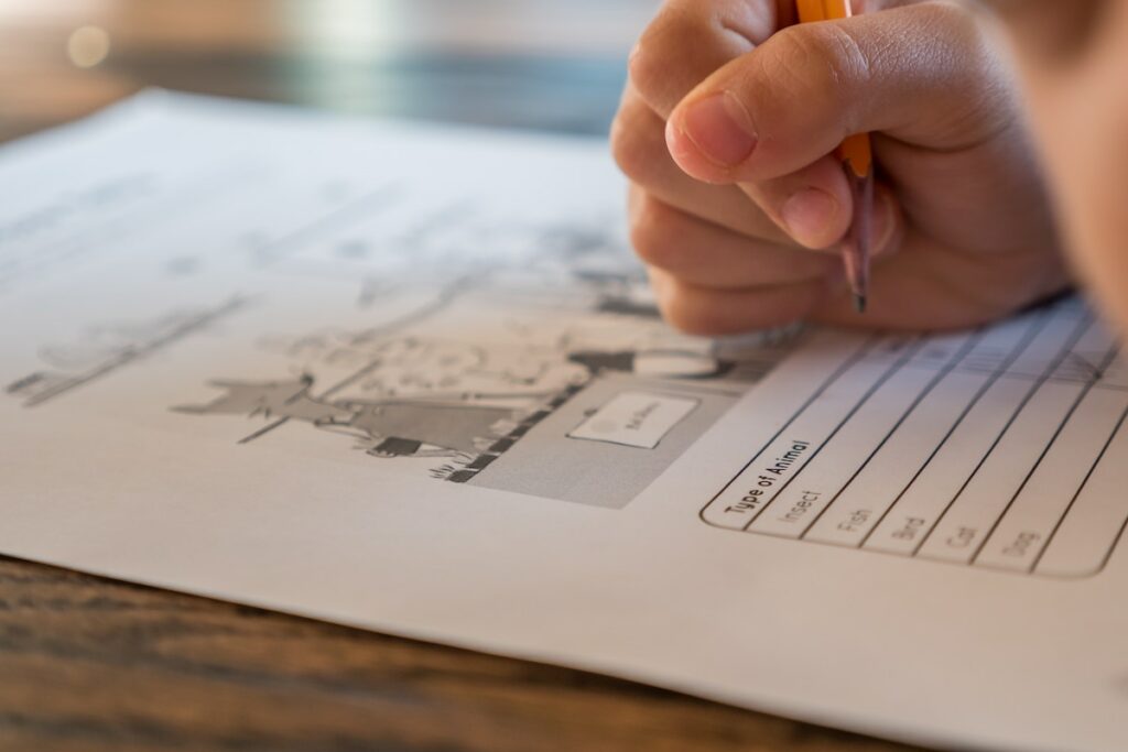 Exams, studying | Primesave Properties