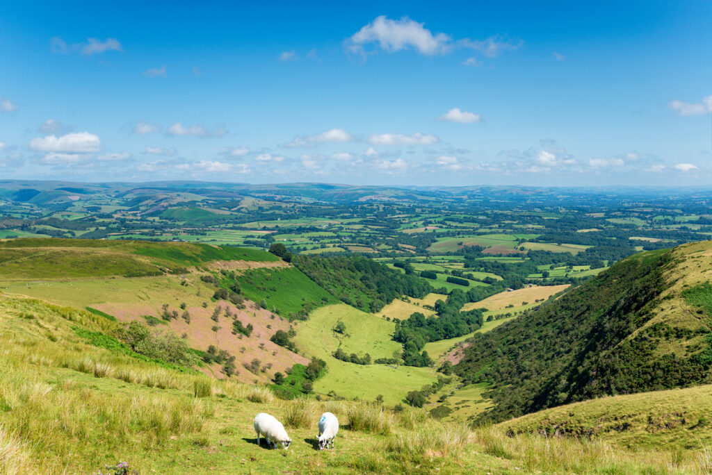 Powys countryside | Primesave Properties